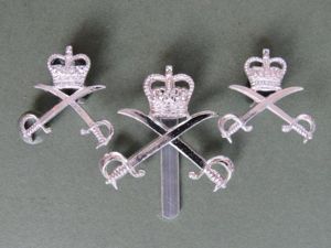 British Army Post 1953 The Army Physical Training Corps Cap …