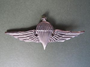 Egypt 3rd Class Parachute Wings
