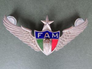 Mexico Army Enlisted Senior Parachute Wings