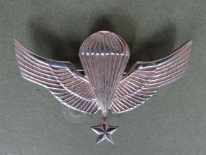 Chile Senior Parachute Wings