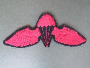 Middle East (Possibly Syria) Army Parachute Wings