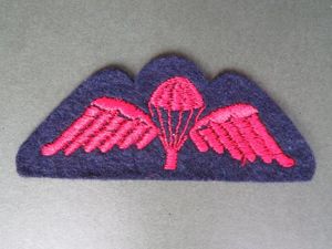 Great Britain Royal Marines No3 Dress Parachute Wings