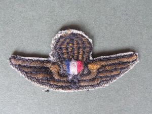 Panama Army Parachute Wings