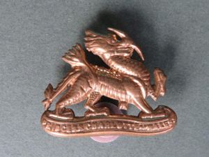 British Army Royal Berkshire Regiment (Princess Charlotte of Wales's) Collar …