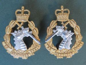 British Army Royal Army Dental Corps Post 1953 Officer's Collar …