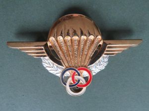 France Parachute Instructor Wings