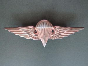 Iraq Post 1990 Army Parachute Wings