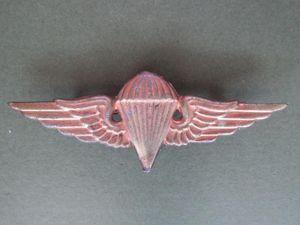 Iraq Post 1990 Army Parachute Wings