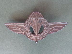 Italy Army 1st Tactical Group Parachute Wings