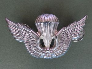 Republic of Korea Army Basic Parachute Wings
