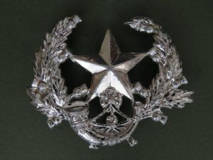 British Army Cameronians (Scottish Rifles) Glengarry Badge