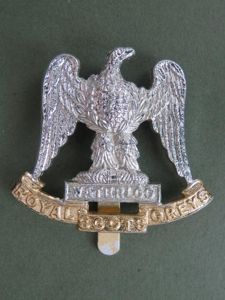 British Army Royal Scots Greys (2nd Dragoon Guards) Cap Badge