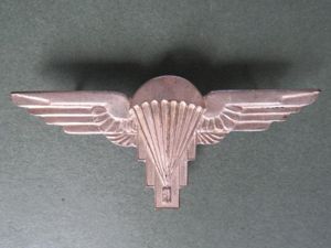 Zimbabwe Army Parachute Wings
