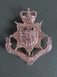 British Army University of London OTC (Officer Training Corps) Collar …