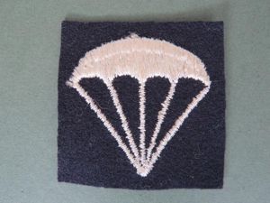 USA Navy 'Parachute Man / Rigger' Badge