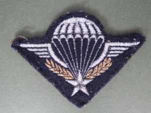 France Army Basic Parachute Wings