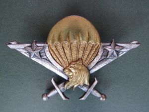 Cameroon Army Parachute Wings