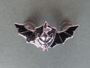 Israel Defence Force Naval Commando Instructor Para Wings