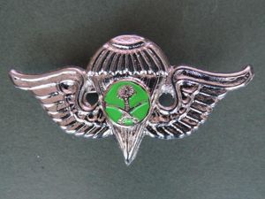 Saudi Arabia 1980's Series Other Ranks 4th Class Parachute Wings