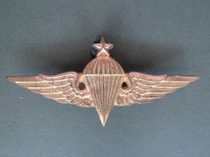 Syria Parachute Wings