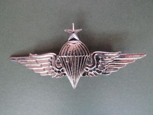 Egypt 3rd Class Parachute Wings