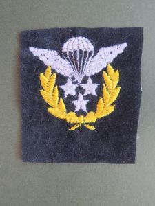 Iran Post 1979 Master Jumpmaster Parachute Wings