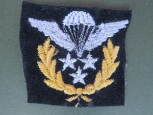 Iran Post 1979 Master Jumpmaster Parachute Wings