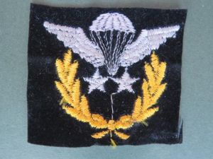 Iran Post 1979 Senior Jumpmaster Parachute Wings
