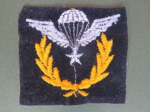Iran Post 1979 Basic Jumpmaster Parachute Wings