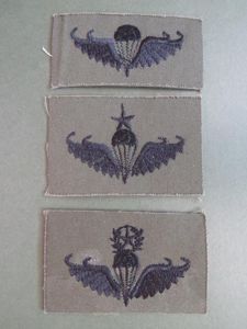 Republic of Korea Marine Corps / Army Parachute Wings