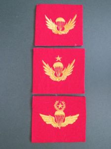 Republic of Korea Marine Corps Parachute Wings