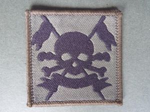 British Army The Royal Lancers Body Armour Moral / Helmet …