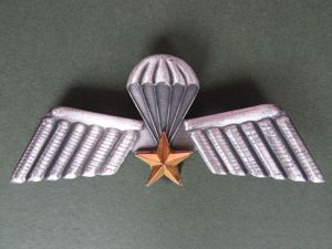Netherlands Army 104 Recon Company Parachute Wings