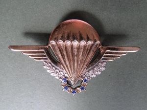 France H.A.L.O. Parachute Wings