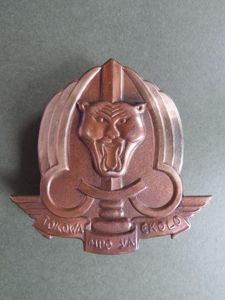 Zaire Army Commando / Parachute Forces Beret Badge