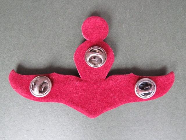 Thailand Border Patrol Police Master Parachute Wings — image 2