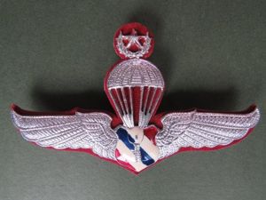 Thailand Border Patrol Police Master Parachute Wings