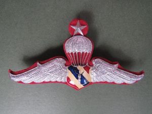 Thailand Border Patrol Police Senior Parachute Wings