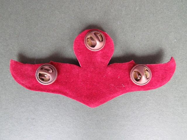 Thailand Border Patrol Police Basic Parachute Wings — image 2