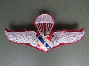 Thailand Border Patrol Police Basic Parachute Wings
