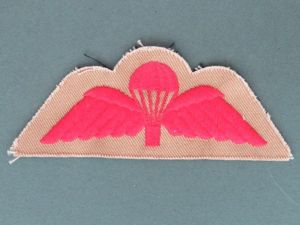 Great Britain Royal Air Force Tropical Dress Parachute Wings