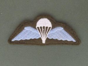 Great Britain Army 1990's Parachute Wings