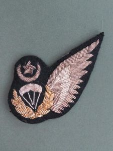 Pakistan Air Force Dress Uniform Parachute Jump Instructor Wing