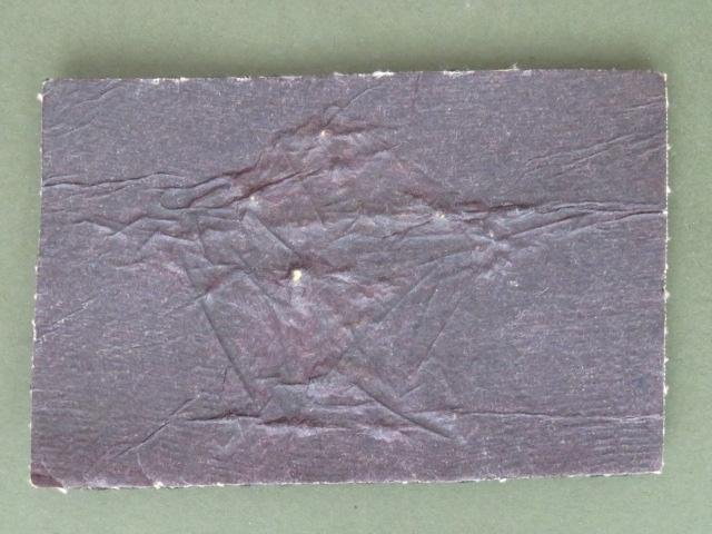 Cameroon Army Dress Uniform / Officers Parachute Wings — image 2