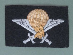 Cameroon Army Dress Uniform / Officers Parachute Wings