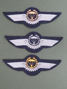 Germany Post 1983 Air Force Parachute Wings Set