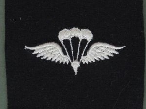 USA U.S.N. Rigger Wings