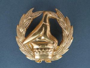 Zimbabwe Army Warrant Officer Class 1 Rank Badge