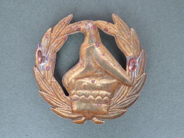 Zimbabwe Army Warrant Officer Class 1 Rank Badge — image 2