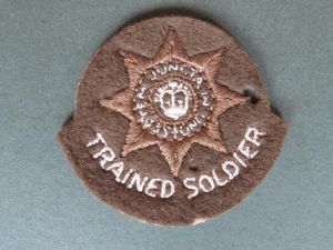 British Army 'Guards Depot' Trained Soldier Badge